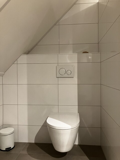 IMG 1685